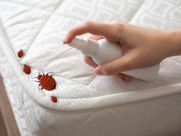 Best Best Pest Control Companies  in Devine, TX